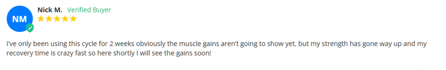 CrazyBulk Bulking Stack Review